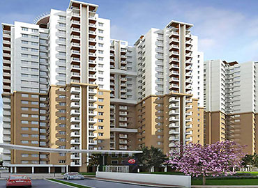 Dewatering Companies in India